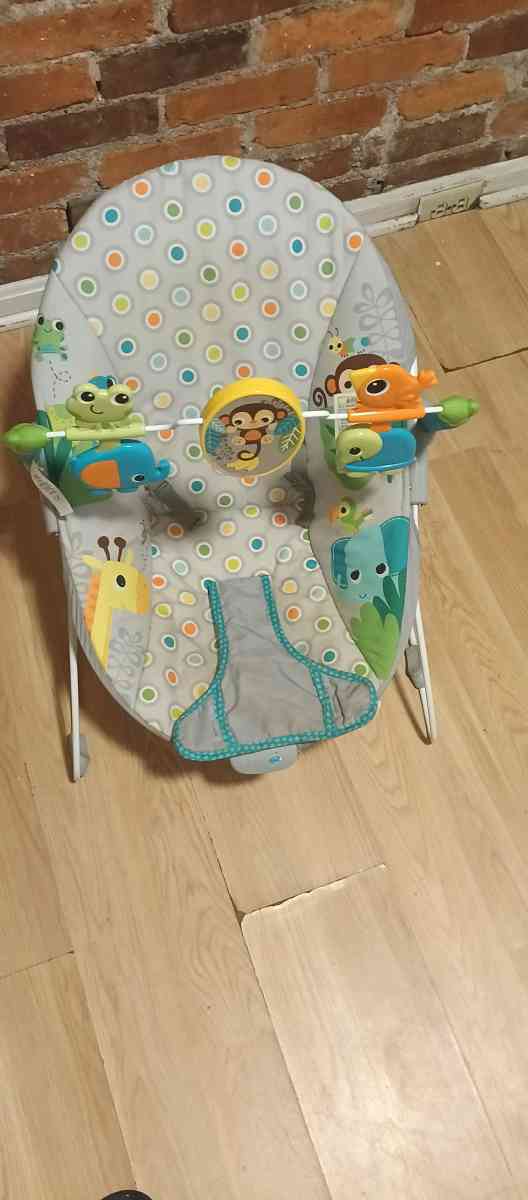 vibrating baby bouncer