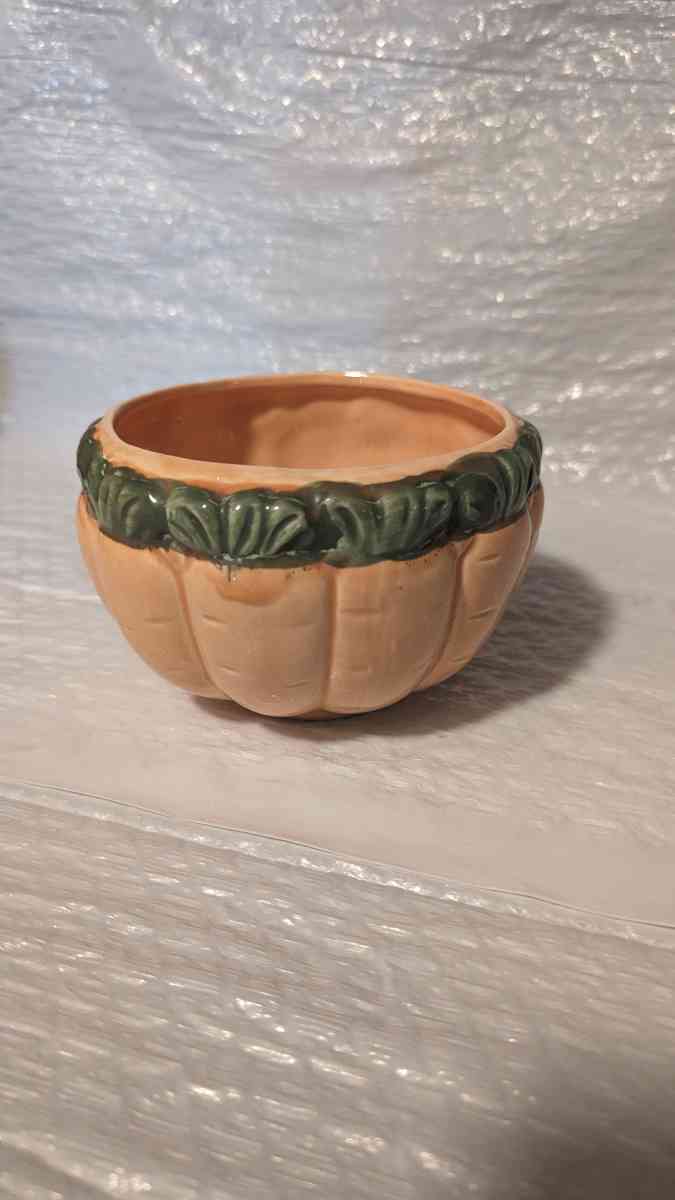 A Semi 3D Orange And Green Carrot Soup Bowl  Vegitable Bowl
