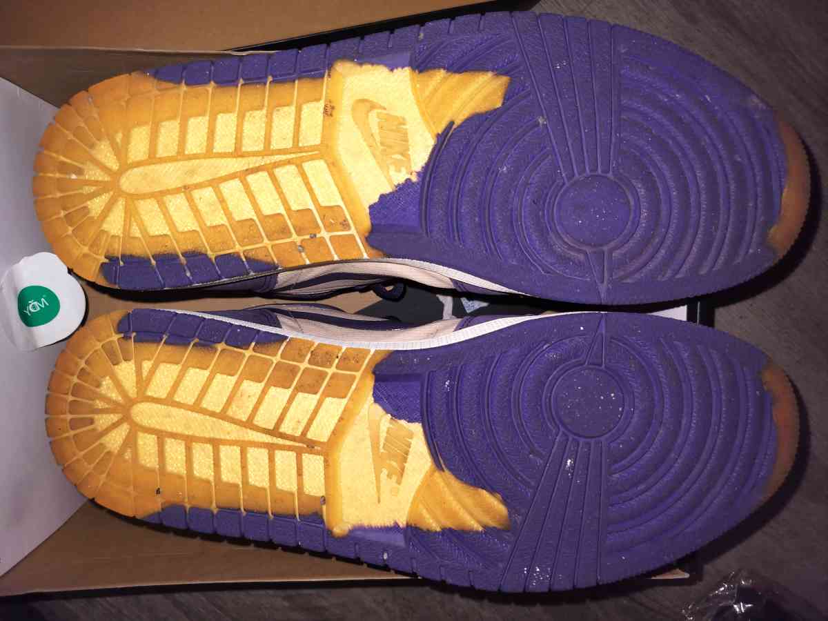 Air Jordan 1 High Element GORETEX