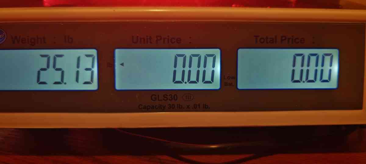Globe GLS30 30LB Price Computing Scale with Dual Light Up LC
