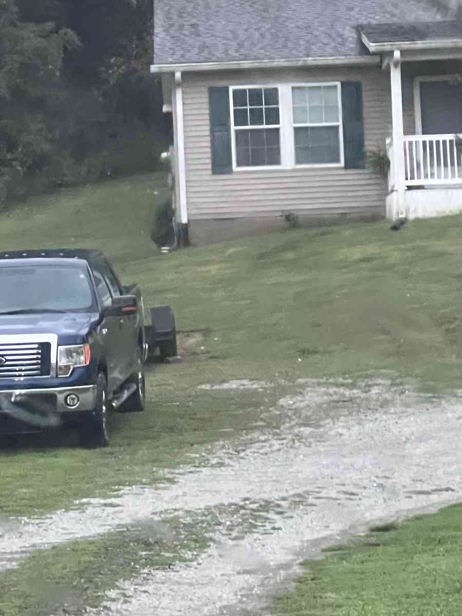 2011 ford f150 side steps