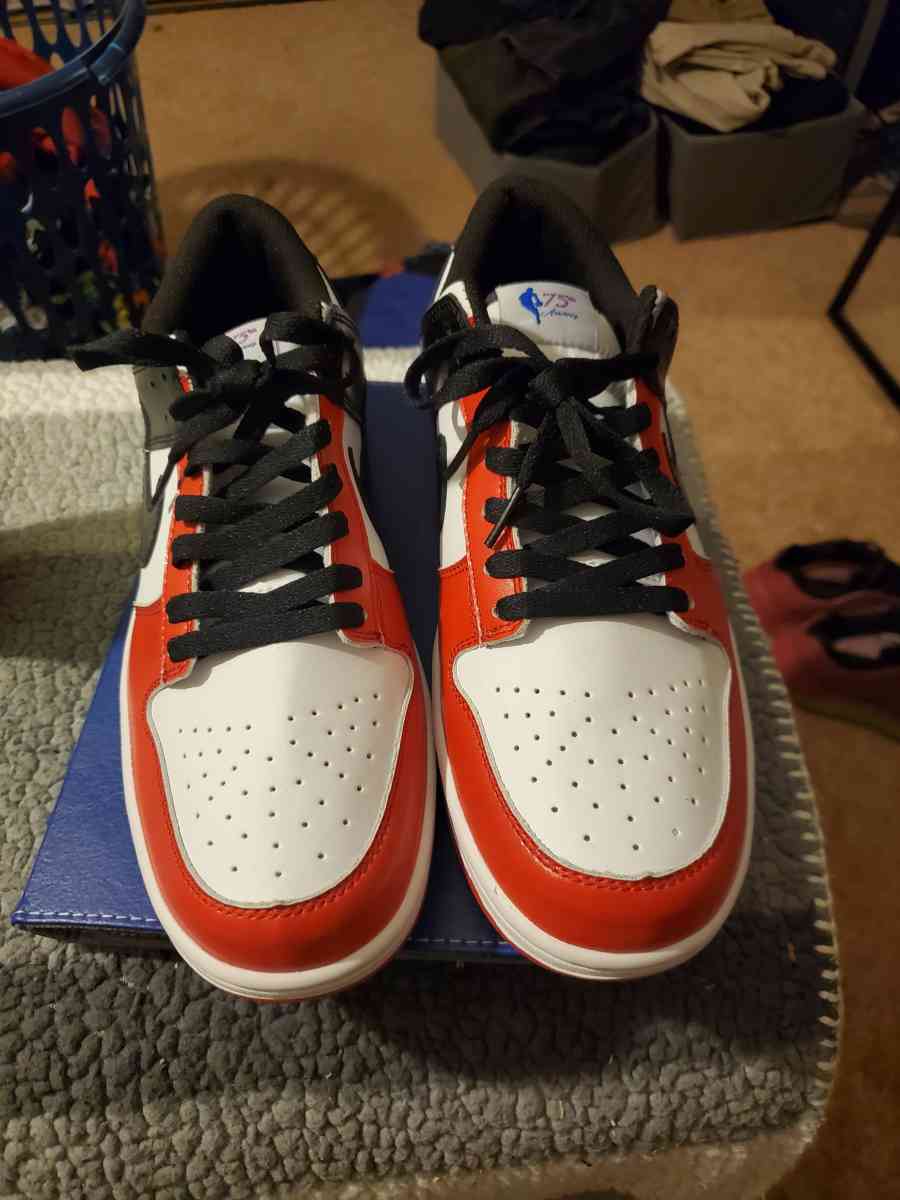 Nike dunks 75th anniversary tag sneakers