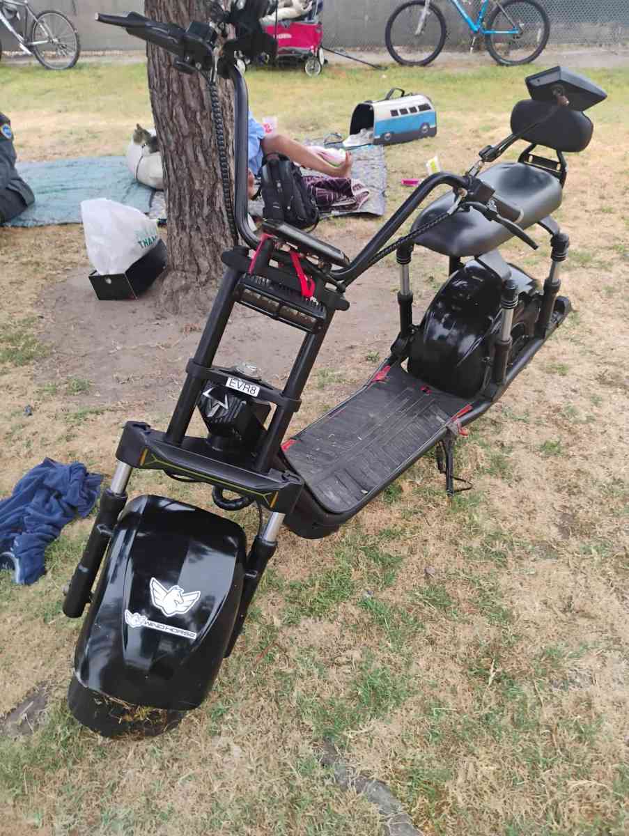 wind horse fat tire hog electric scooter