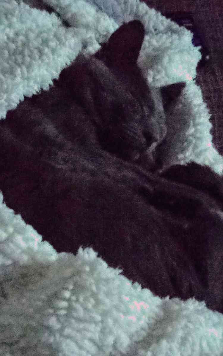 asking for donations