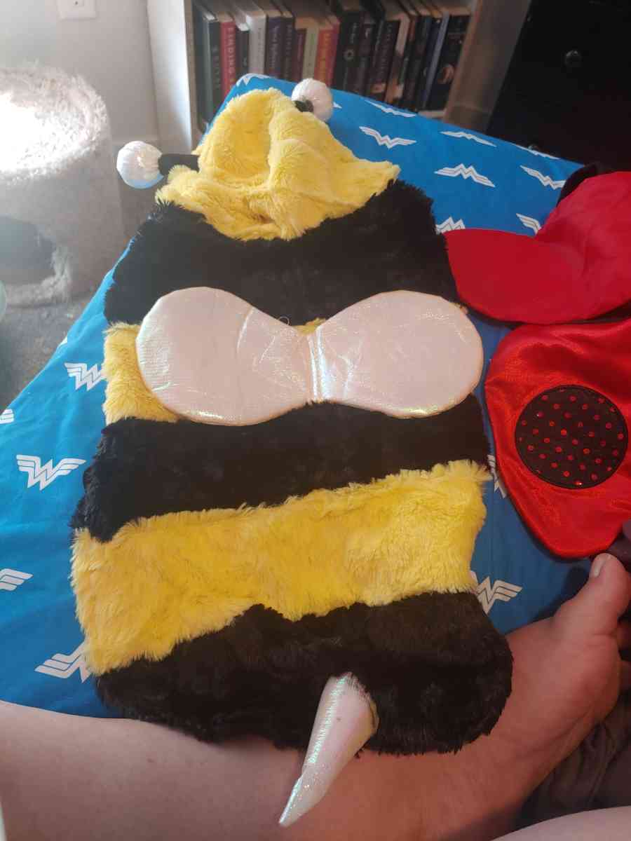 Pet bee custome