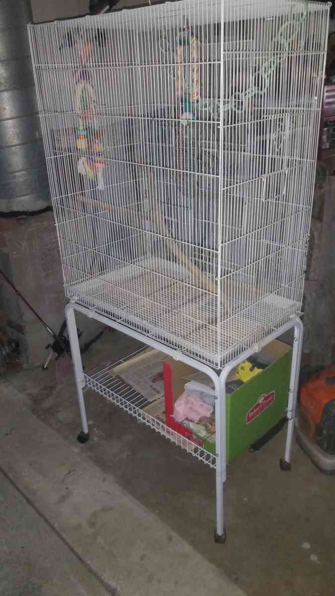 bird  sugar gliders cage