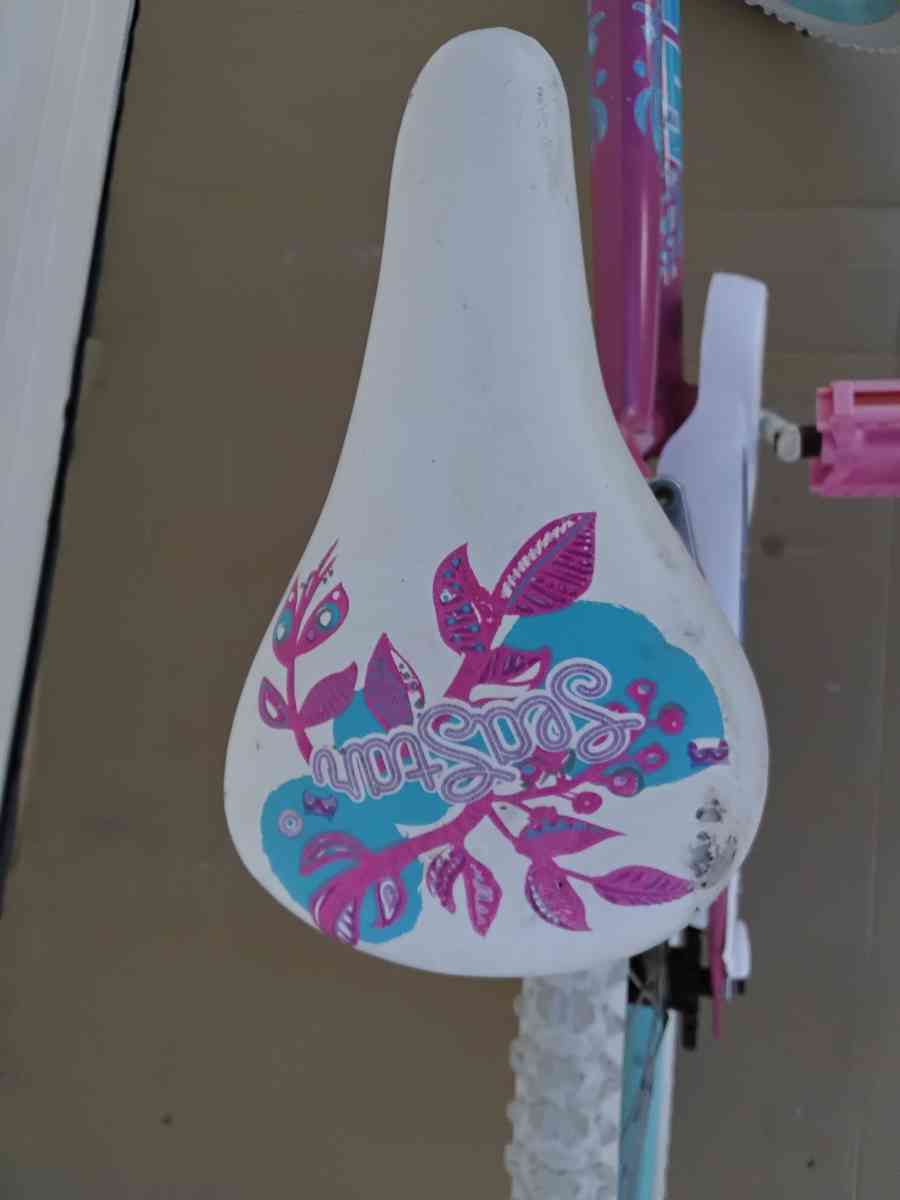 Nice Girls 20 Huffty Sea Star Bicycle and Like New