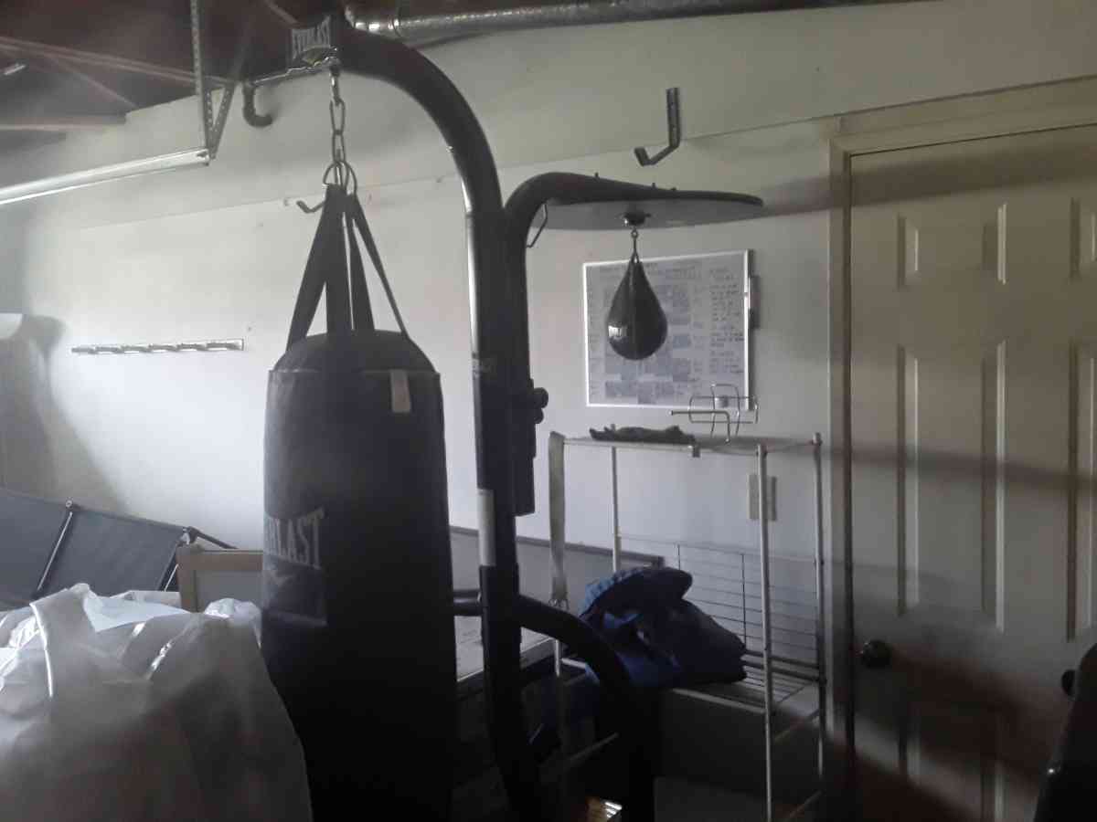 Everlast Punching Bag