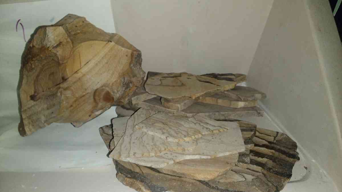 picture jasper beautiful elegant highly recommend