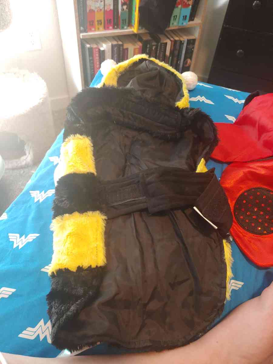 Pet bee custome