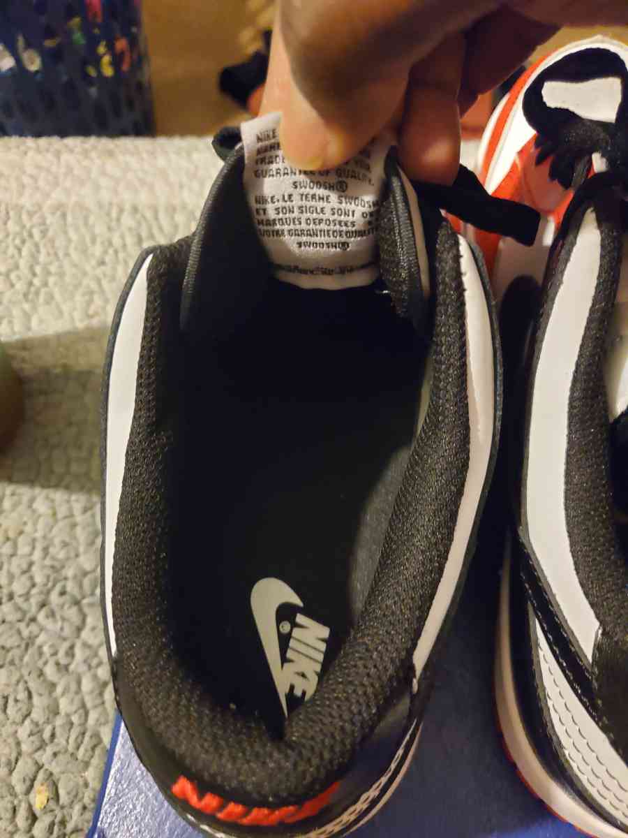 Nike dunks 75th anniversary tag sneakers