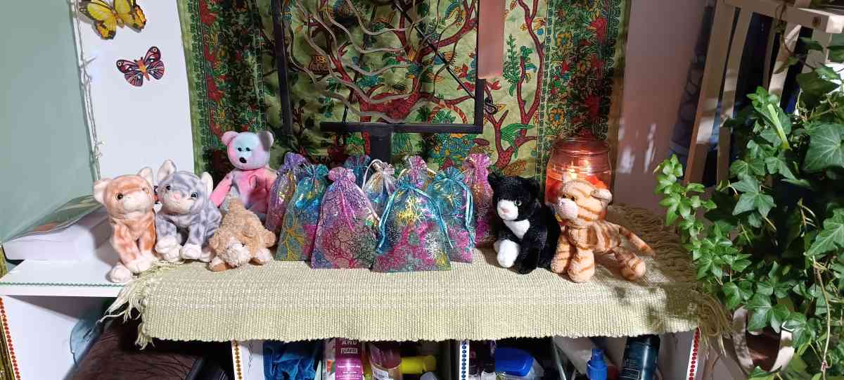 Christmas Catnip SALE  organic grown