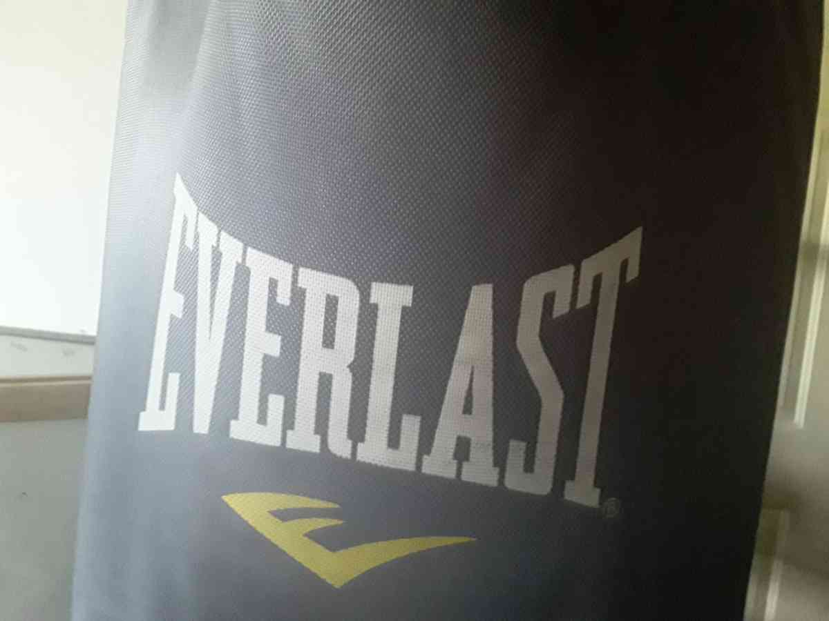 Everlast Punching Bag