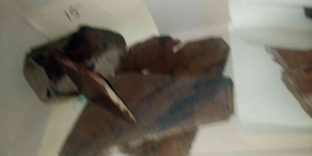 picture jasper beautiful elegant highly recommend