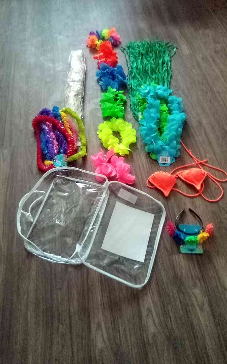 womans Halloween costume