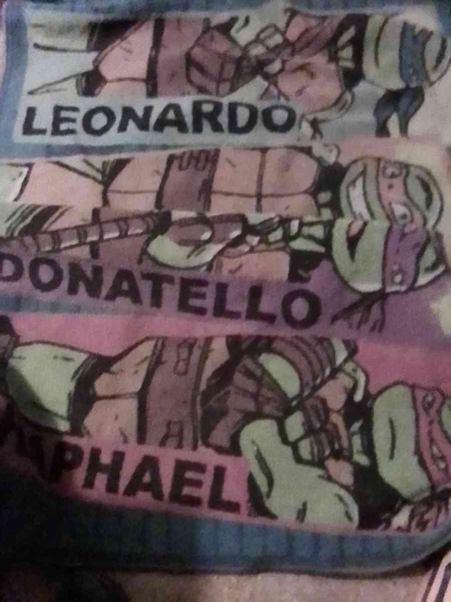 TEENAGE MUTANT NINJA TURTLES RUG