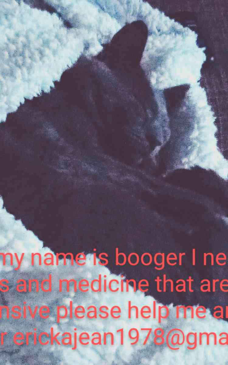 donations for booger