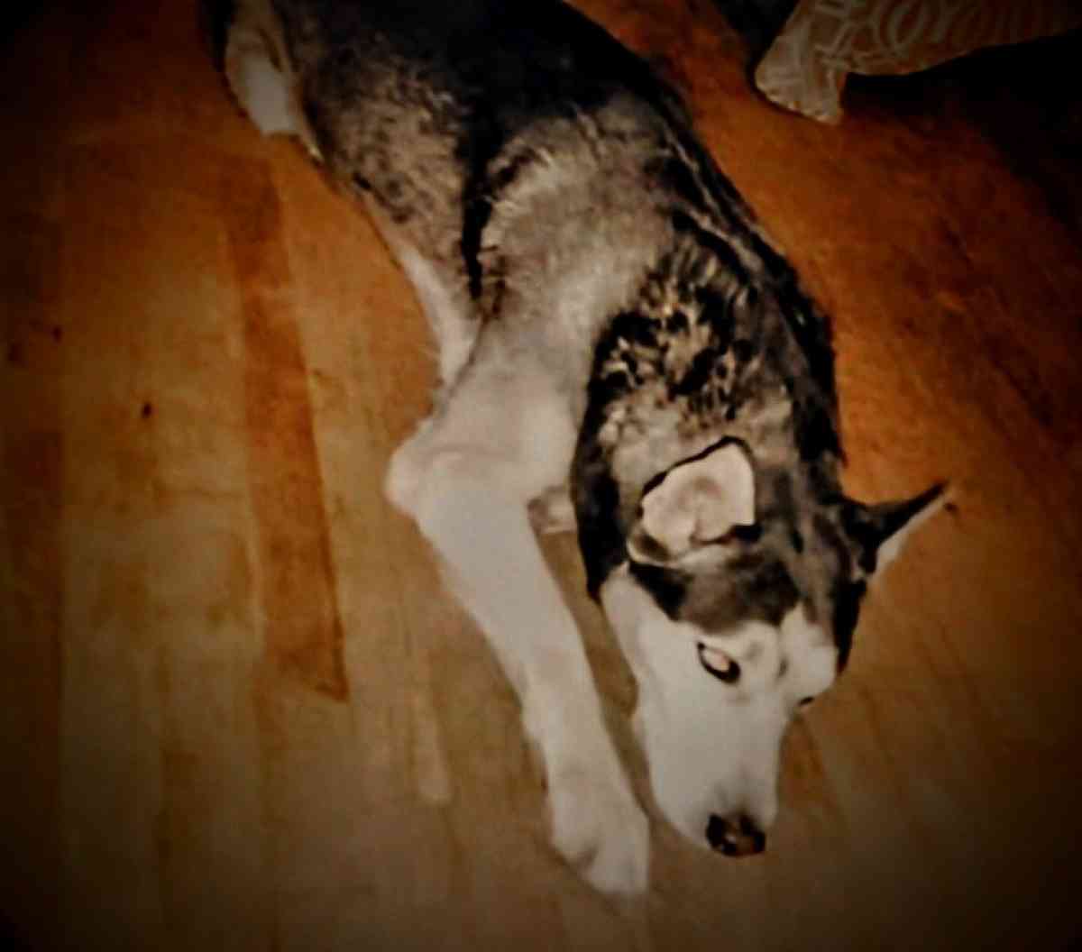 Hi You guys my name is simbad