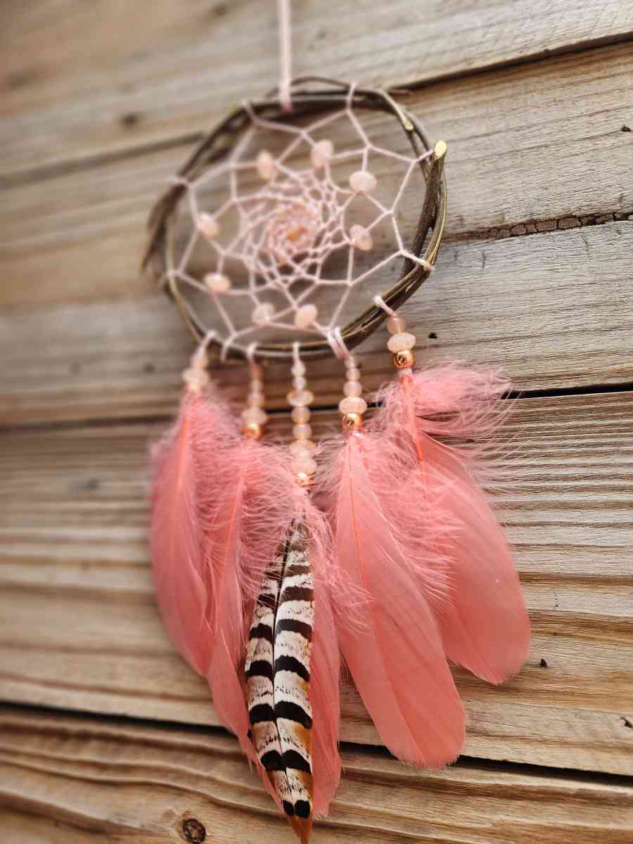 Brown Salt Dream Catcher