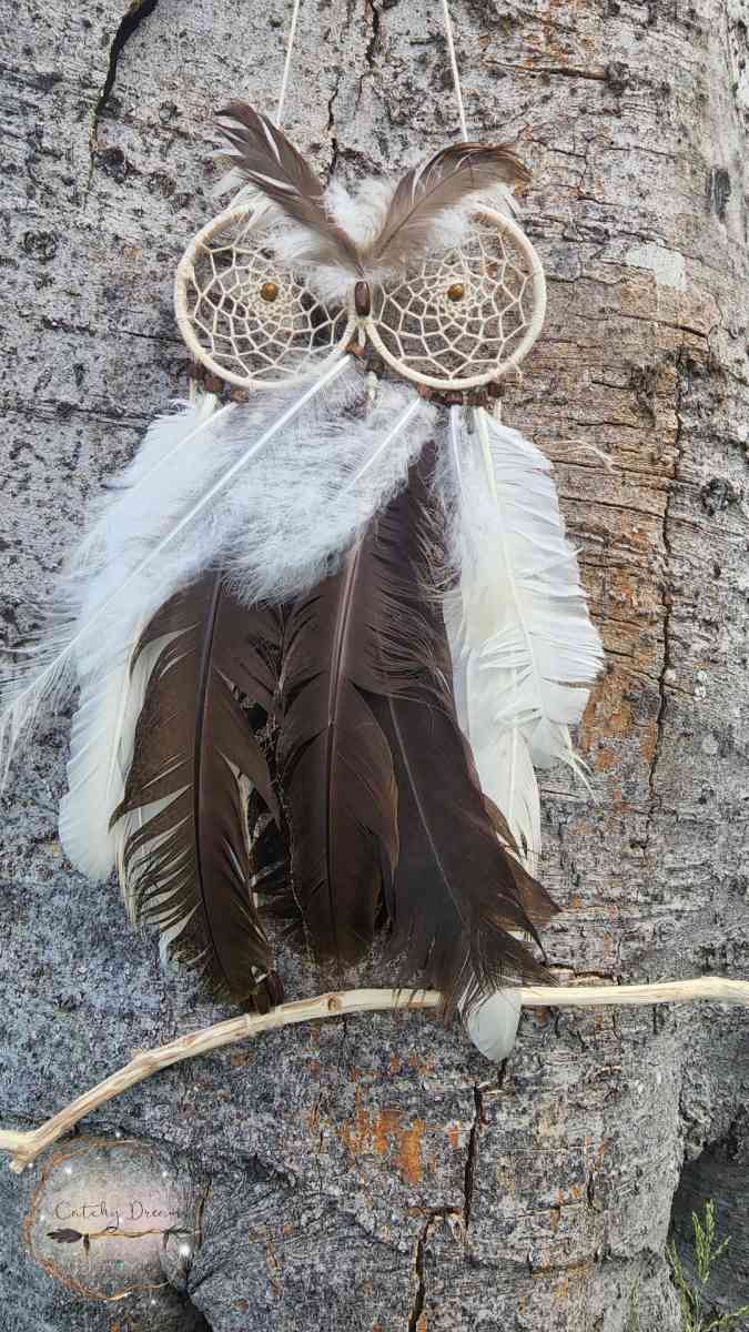 Angry Owl Dream Catcher