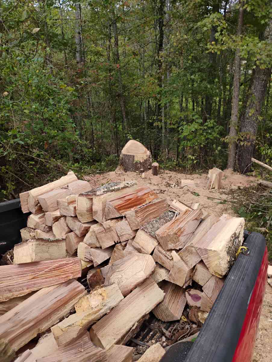 seasonal firewood hickory and oak