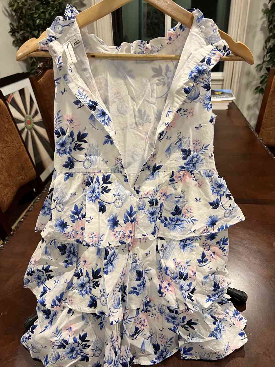 Janie and Jack Cinderella Dress and Floral dress size 8