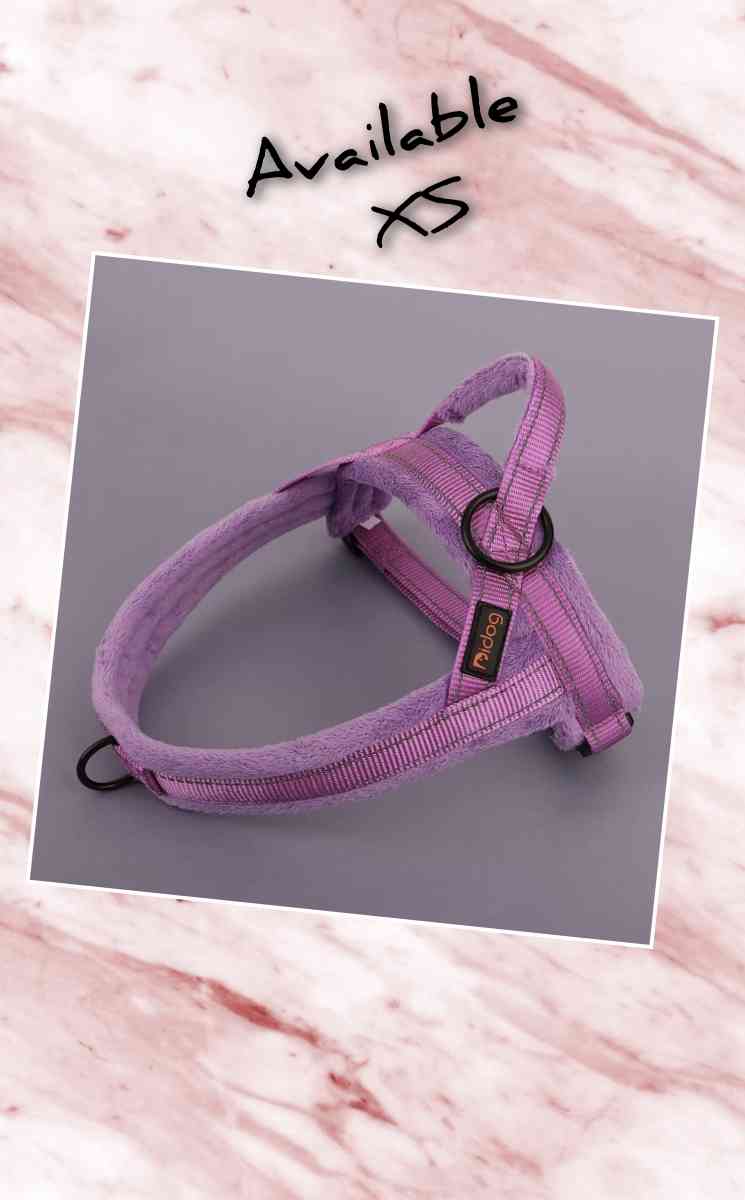 Dog Harness Size XS