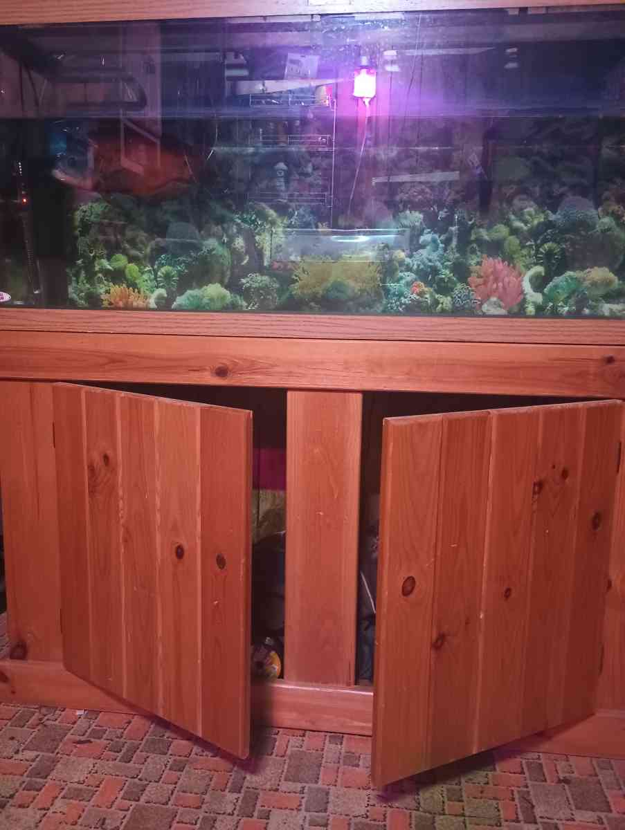 75 gallon fish tank with stand and fish
