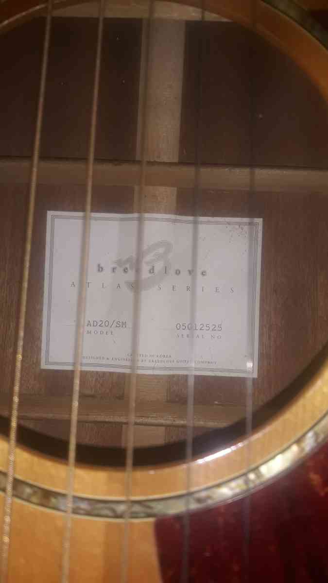 breedlove A25 Acoustic Guitar