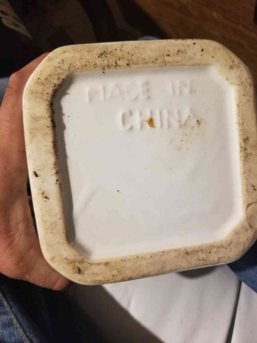 4 canisters w locking lids