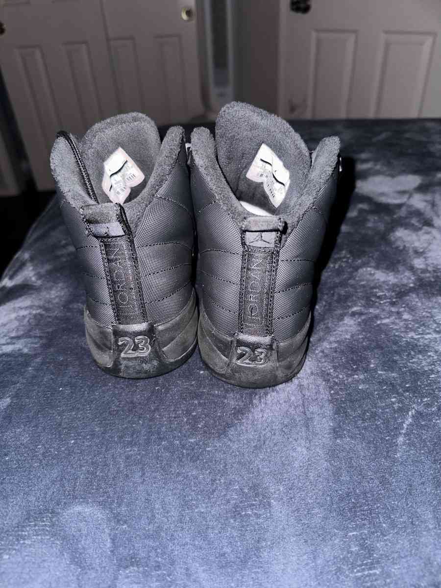 Jordan 12 Black