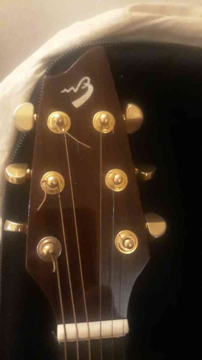 breedlove A25 Acoustic Guitar