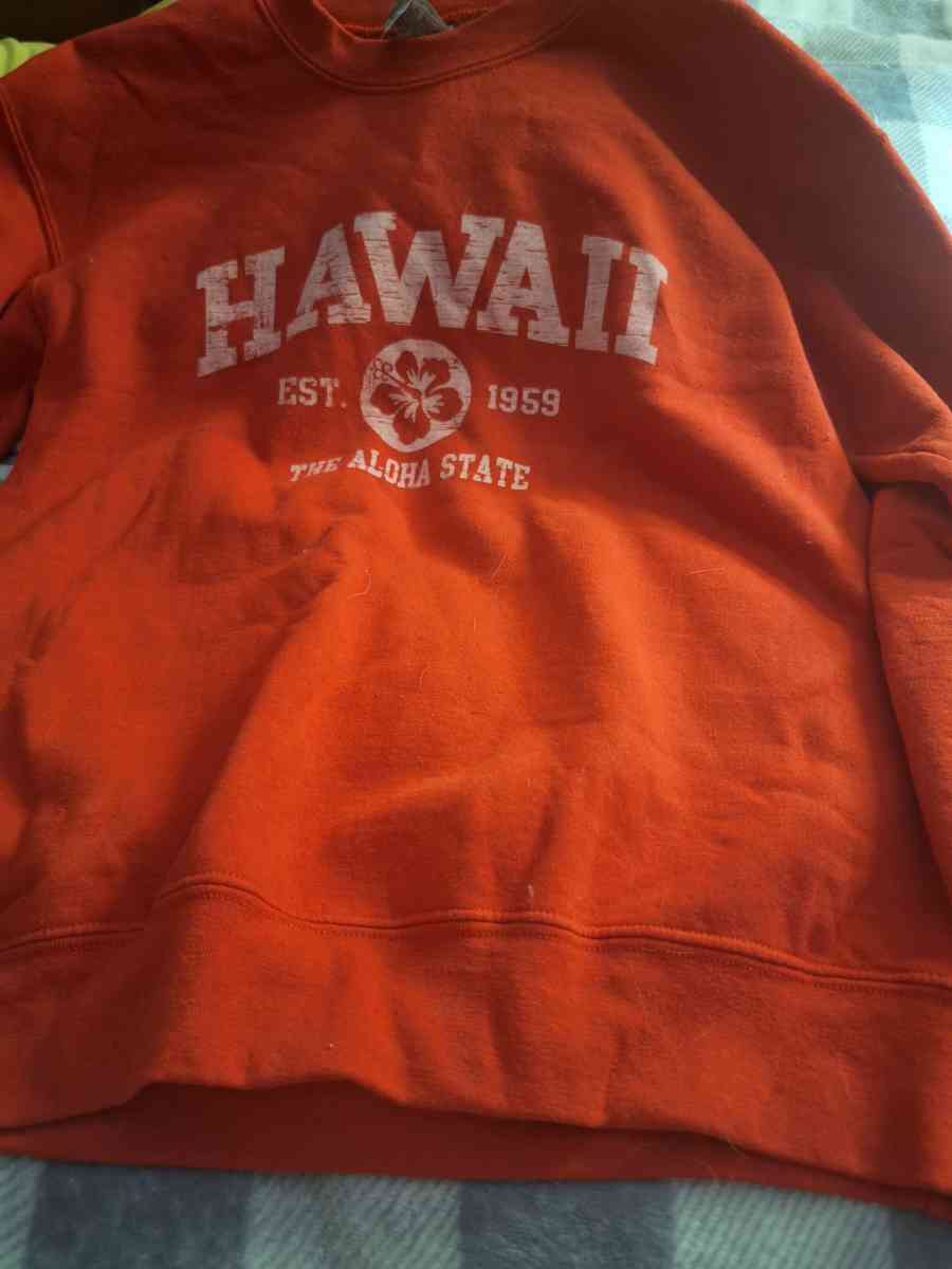 Ladies sweatshirt pullover