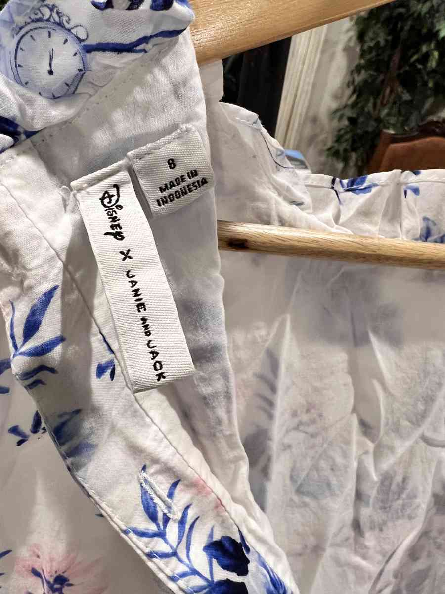 Janie and Jack Cinderella Dress and Floral dress size 8