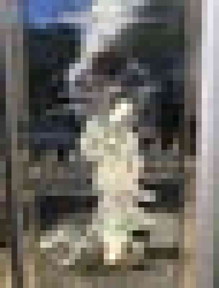 Japanese vintage rare find wall decor mother of pearl