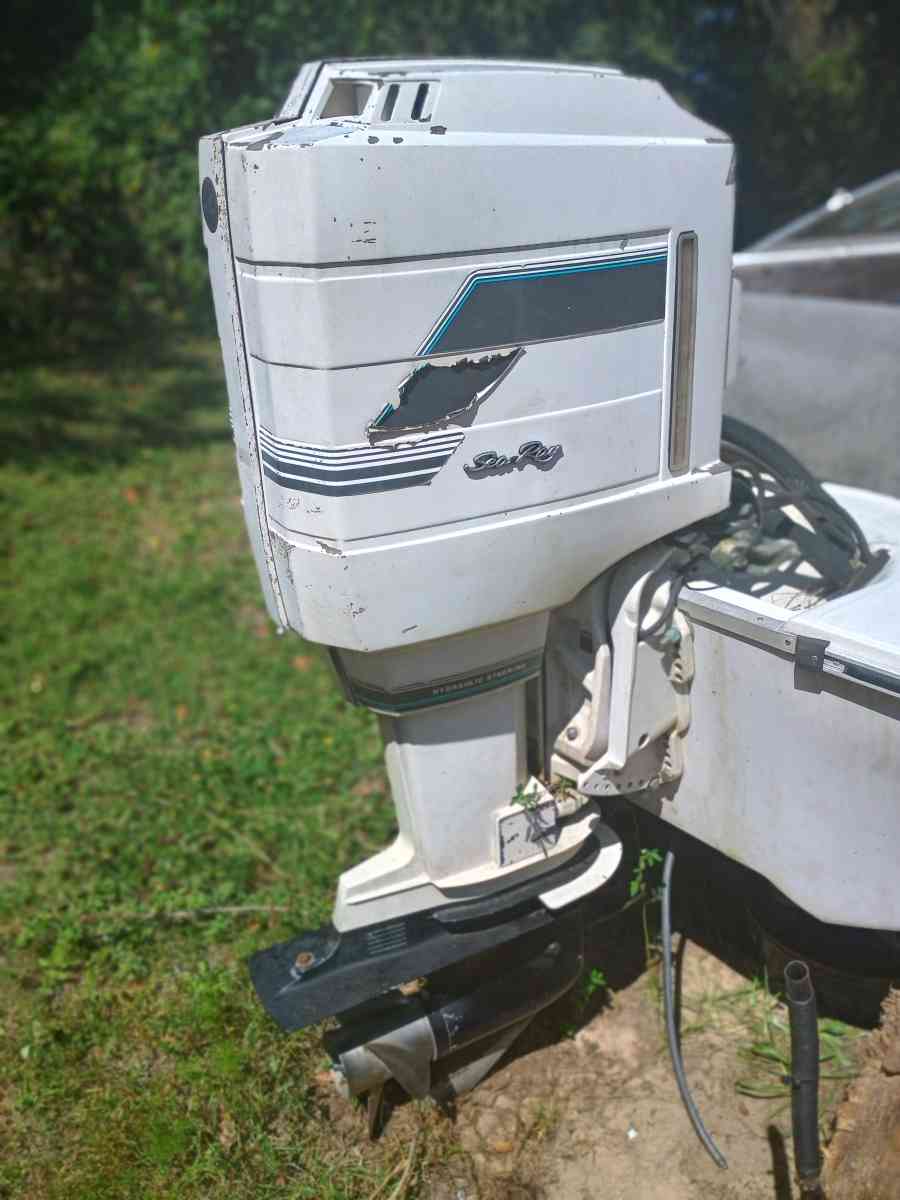 searay with mercury 100hp outboard motor