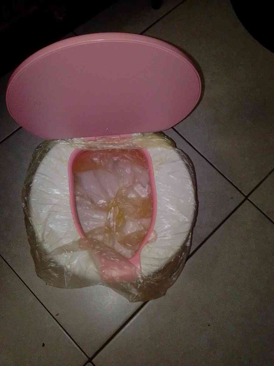 Baby potty training seat