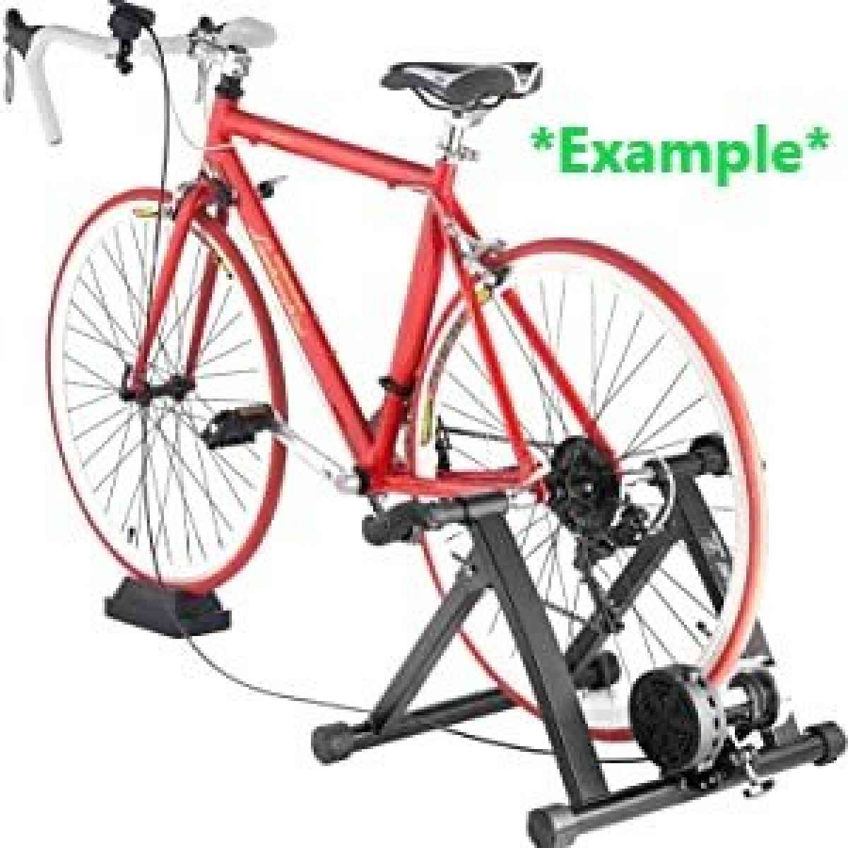 BIKE LANE PRO TRAINER