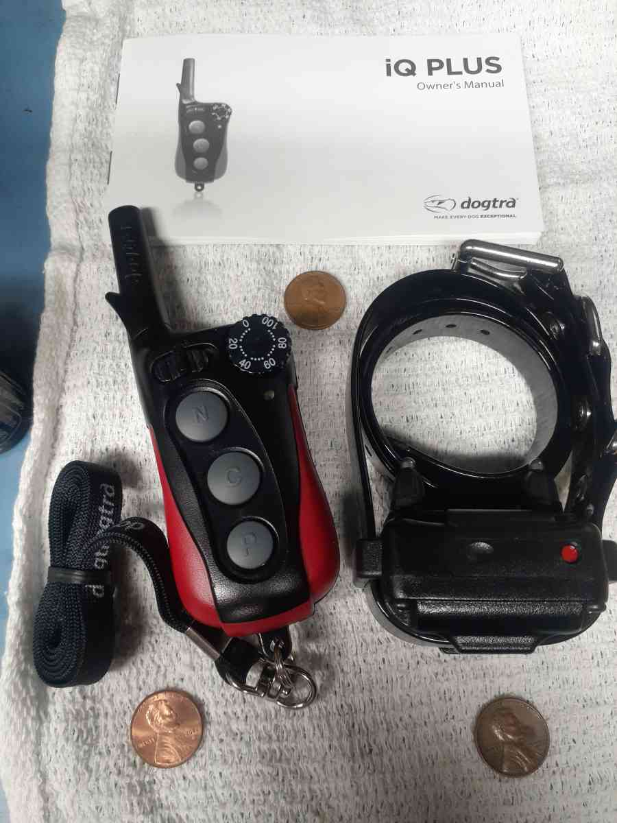 Doggy dog training aid