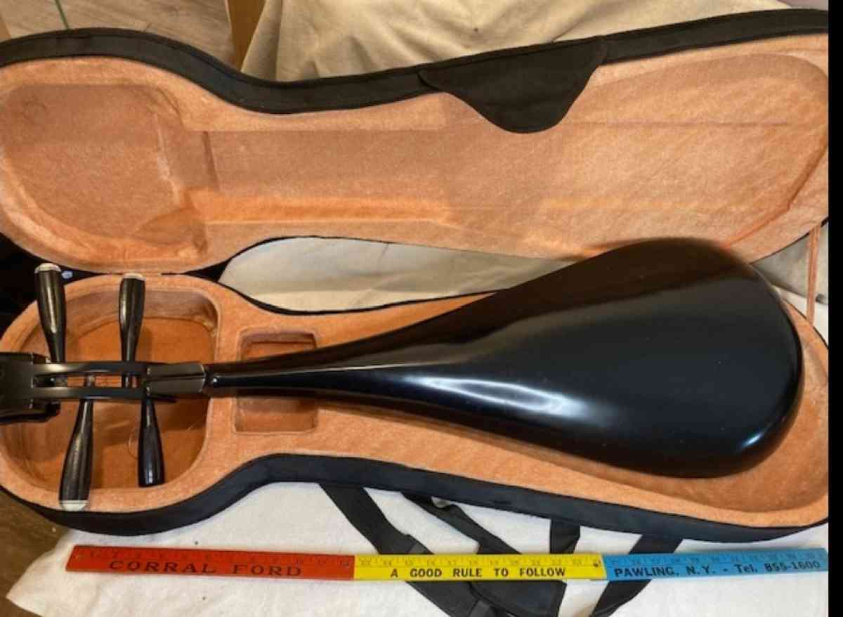 Chinese Pipa
