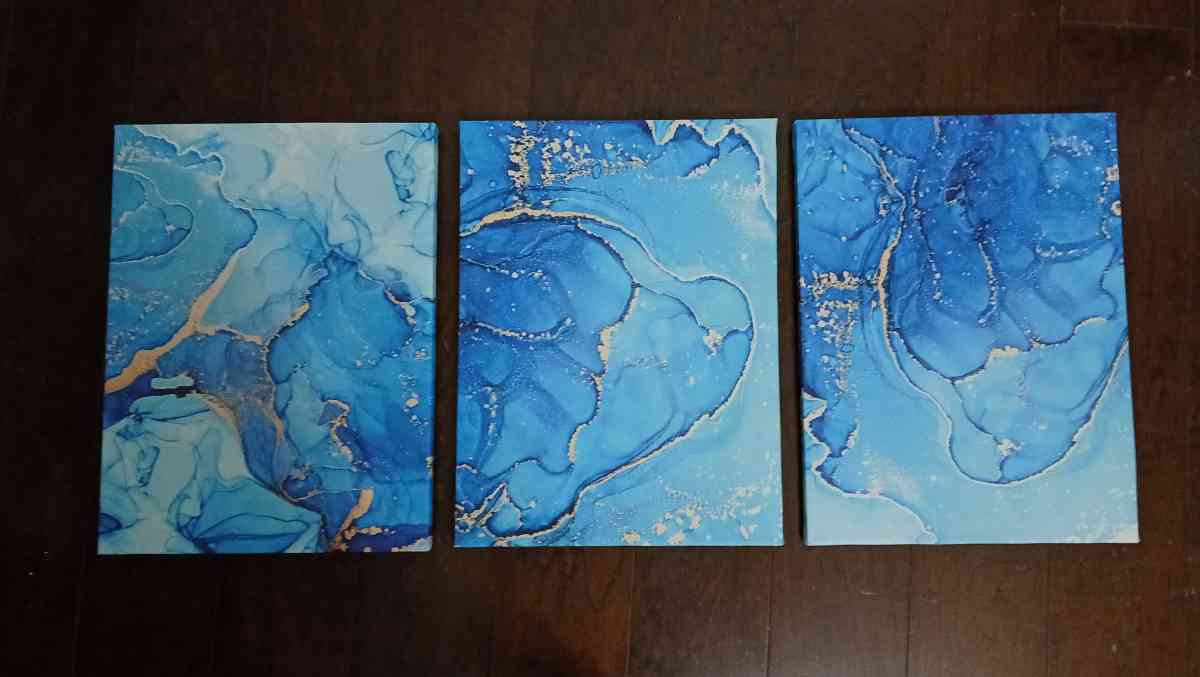 3 Matching canvas print