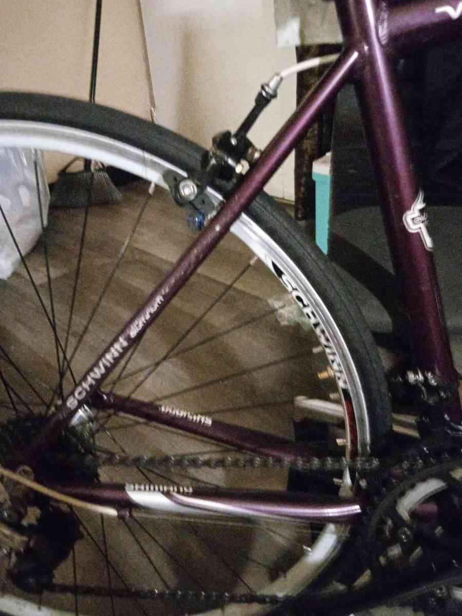 Schwinn Varsity Bike