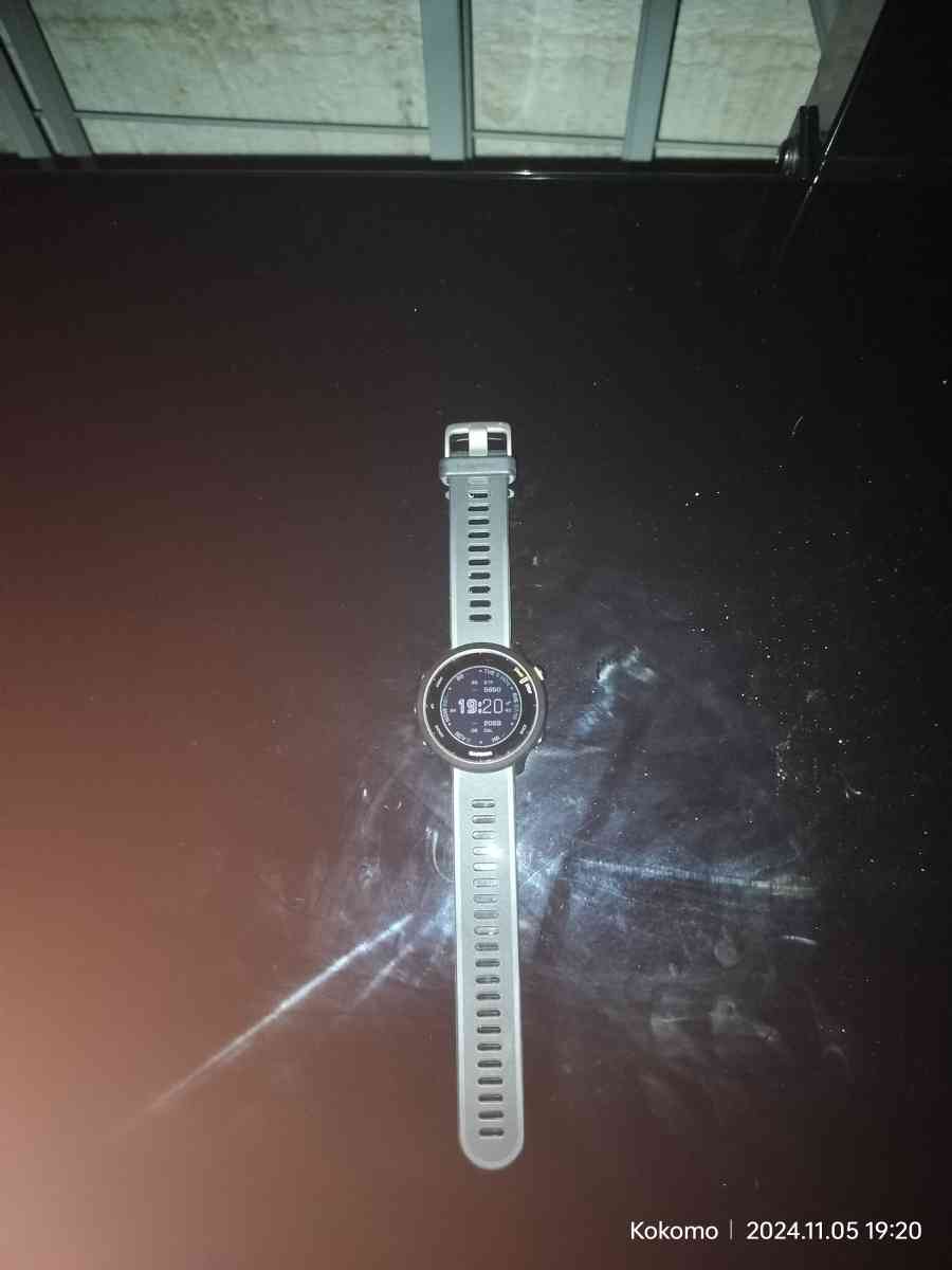 Garmin Forerunner 55