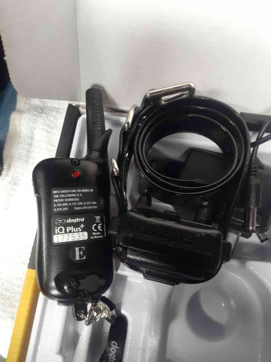 Doggy dog training aid