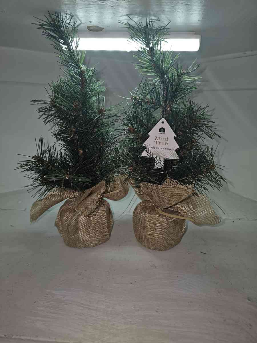 Christmas decoration lot for 25