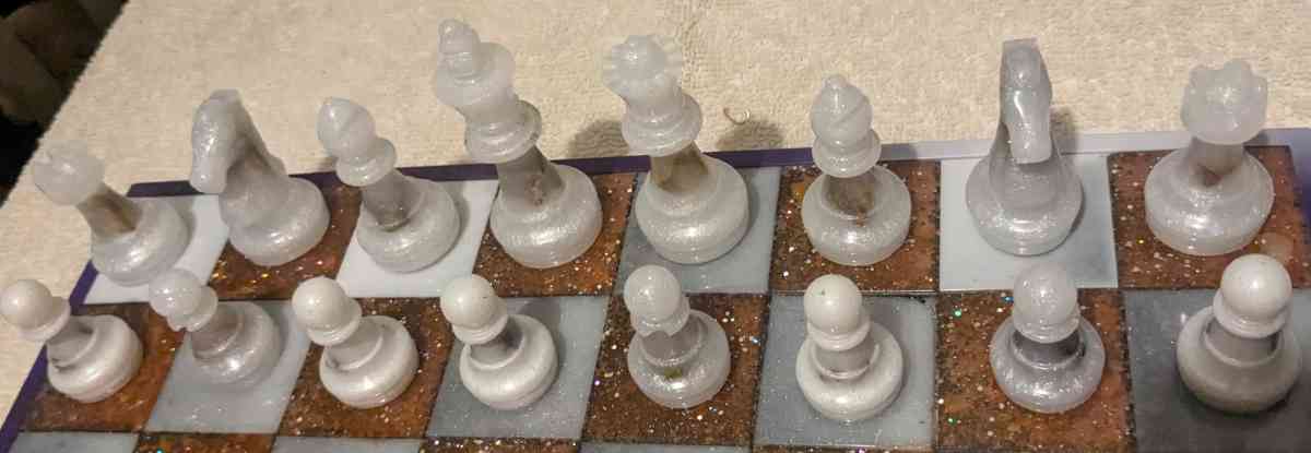 Petrified Wood Chess Set