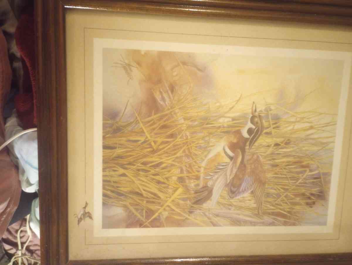 woodland duck 1989 vintage