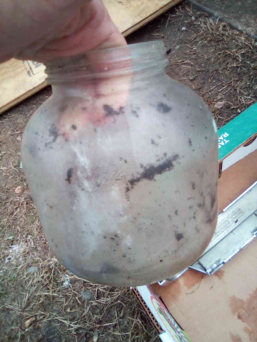 vintage jugs and bottles used but still in great shape