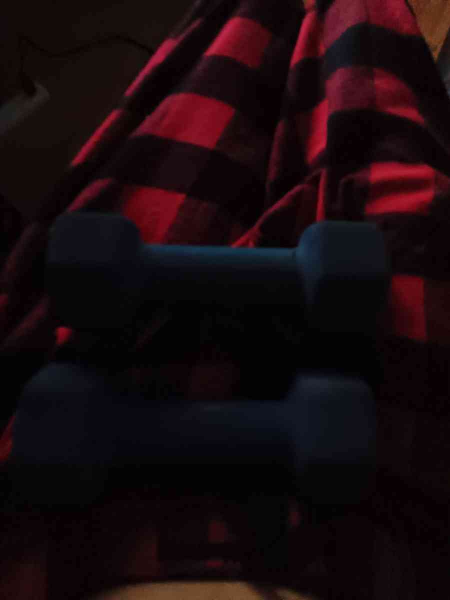 two 5 pound weights