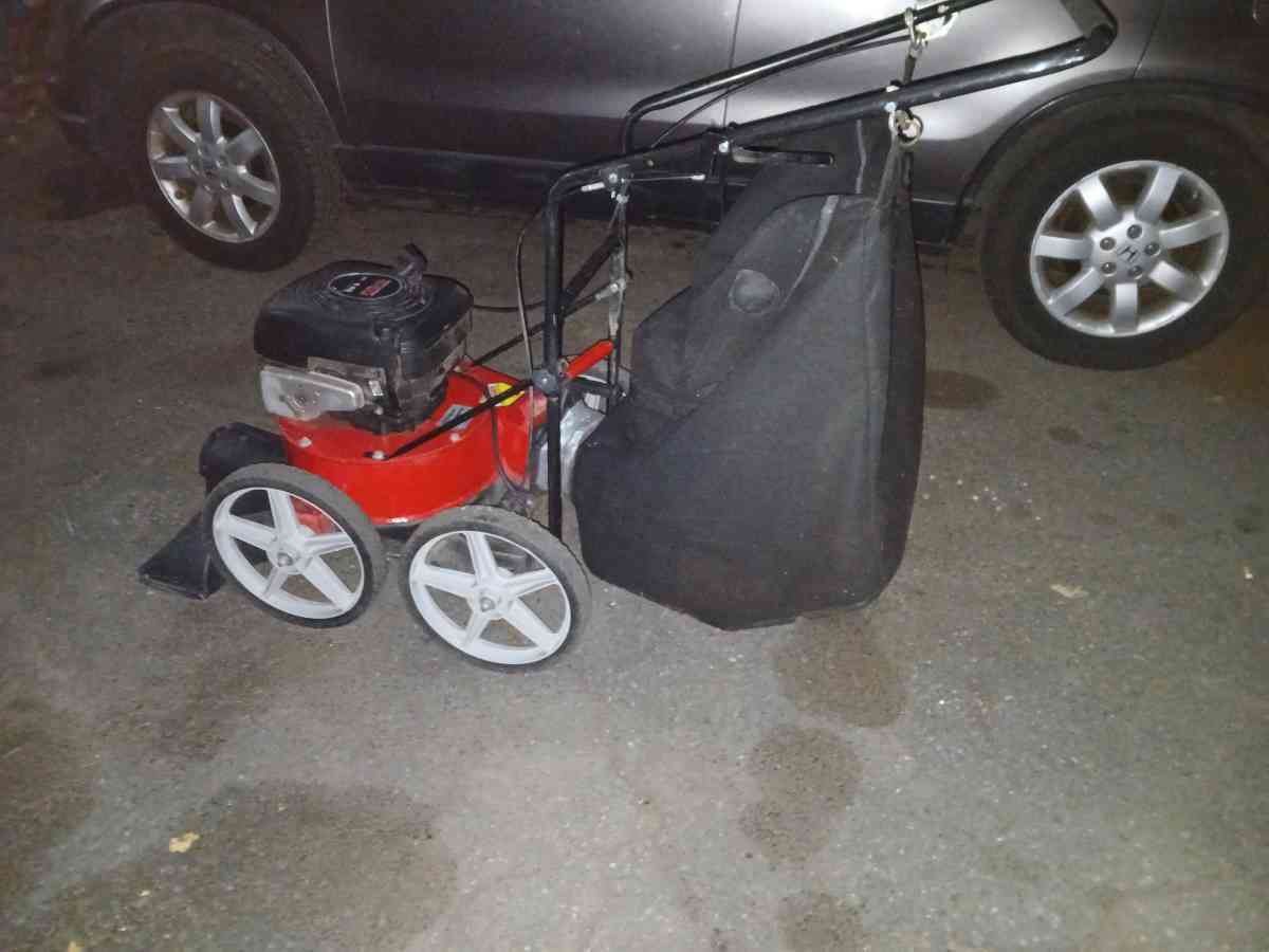 Briggs n Stratton leaf sucker